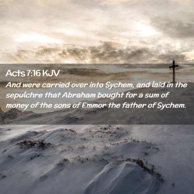 Picture 02 - Acts 7:16 KJV - And were carried over into Sychem, and laid in - Bible Verse Picture