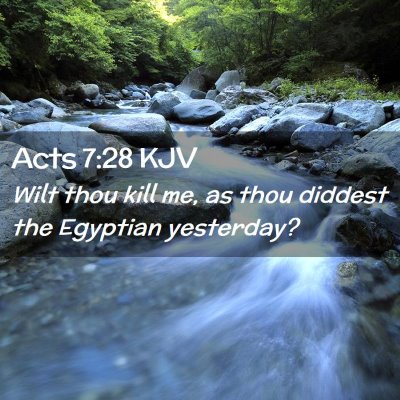 Picture 02 - Acts 7:28 KJV - Wilt thou kill me, as thou diddest the Egyptian - Bible Verse Picture