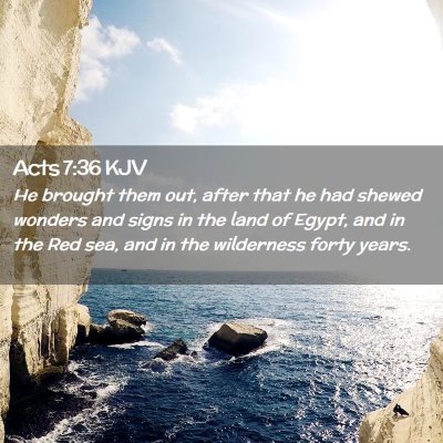 Picture 02 - Acts 7:36 KJV - He brought them out, after that he had shewed - Bible Verse Picture