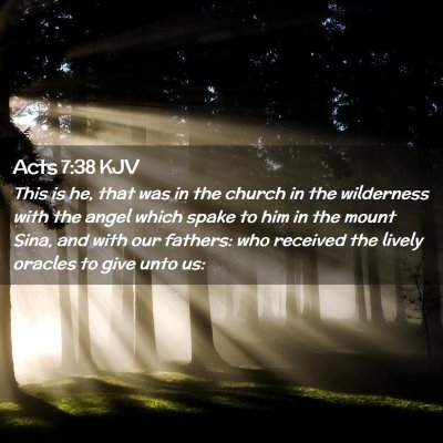 Picture 02 - Acts 7:38 KJV - This is he, that was in the church in the - Bible Verse Picture