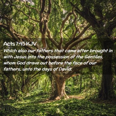 Picture 02 - Acts 7:45 KJV - Which also our fathers that came after brought in - Bible Verse Picture