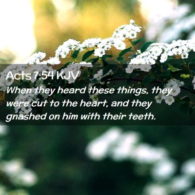 Picture 02 - Acts 7:54 KJV - When they heard these things, they were cut to - Bible Verse Picture