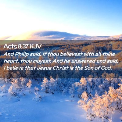 Picture 02 - Acts 8:37 KJV - And Philip said, If thou believest with all thine - Bible Verse Picture