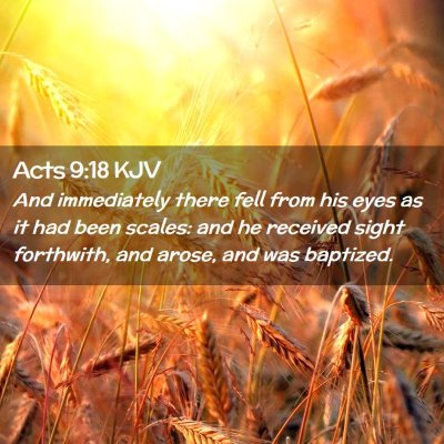 Picture 02 - Acts 9:18 KJV - And immediately there fell from his eyes as it - Bible Verse Picture