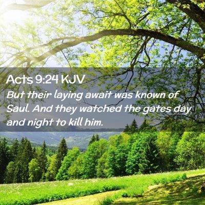 Picture 02 - Acts 9:24 KJV - But their laying await was known of Saul. And - Bible Verse Picture