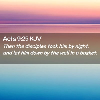 Picture 02 - Acts 9:25 KJV - Then the disciples took him by night, and let him - Bible Verse Picture