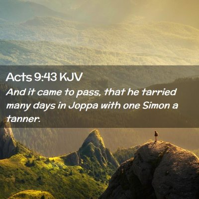 Picture 02 - Acts 9:43 KJV - And it came to pass, that he tarried many days in - Bible Verse Picture