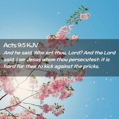 Picture 02 - Acts 9:5 KJV - And he said, Who art thou, Lord? And the Lord - Bible Verse Picture