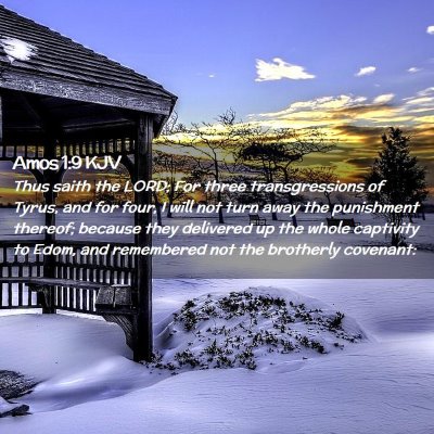 Picture 02 - Amos 1:9 KJV - Thus saith the LORD; For three transgressions of - Bible Verse Picture