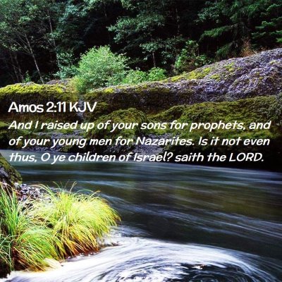 Picture 02 - Amos 2:11 KJV - And I raised up of your sons for prophets, and of - Bible Verse Picture
