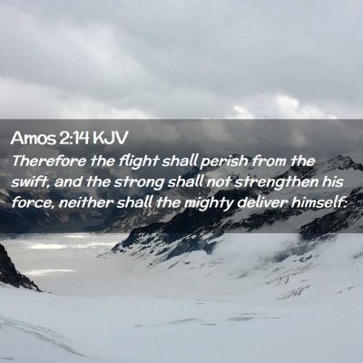 Picture 02 - Amos 2:14 KJV - Therefore the flight shall perish from the swift, - Bible Verse Picture