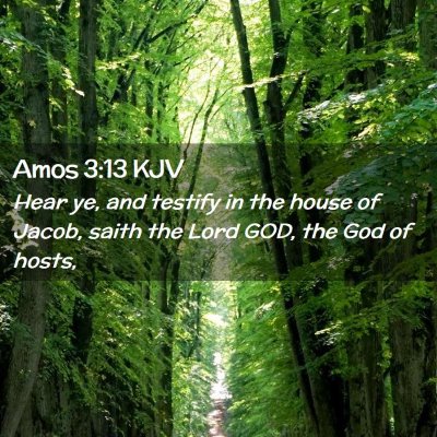 Picture 02 - Amos 3:13 KJV - Hear ye, and testify in the house of Jacob, saith - Bible Verse Picture