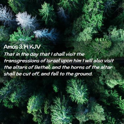 Picture 02 - Amos 3:14 KJV - That in the day that I shall visit the - Bible Verse Picture