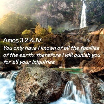 Picture 02 - Amos 3:2 KJV - You only have I known of all the families of the - Bible Verse Picture