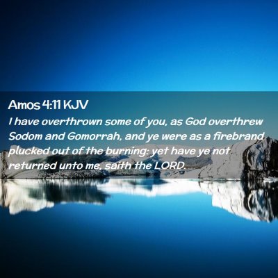 Picture 02 - Amos 4:11 KJV - I have overthrown some of you, as God overthrew - Bible Verse Picture