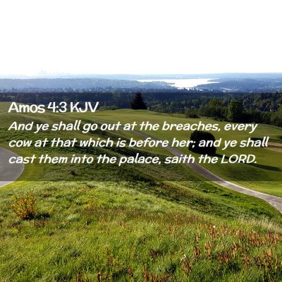 Picture 02 - Amos 4:3 KJV - And ye shall go out at the breaches, every cow at - Bible Verse Picture