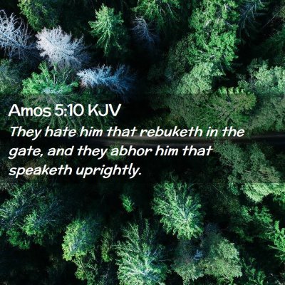 Picture 02 - Amos 5:10 KJV - They hate him that rebuketh in the gate, and they - Bible Verse Picture