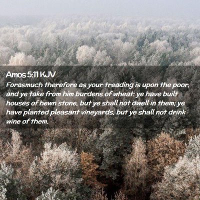 Picture 02 - Amos 5:11 KJV - Forasmuch therefore as your treading is upon the - Bible Verse Picture