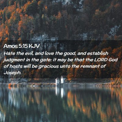 Picture 02 - Amos 5:15 KJV - Hate the evil, and love the good, and establish - Bible Verse Picture