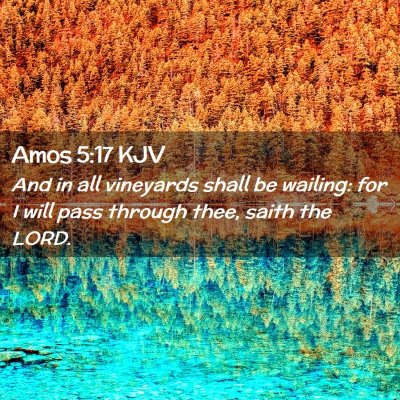 Picture 02 - Amos 5:17 KJV - And in all vineyards shall be wailing: for I will - Bible Verse Picture