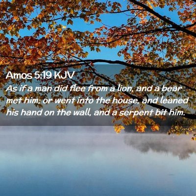 Picture 02 - Amos 5:19 KJV - As if a man did flee from a lion, and a bear met - Bible Verse Picture