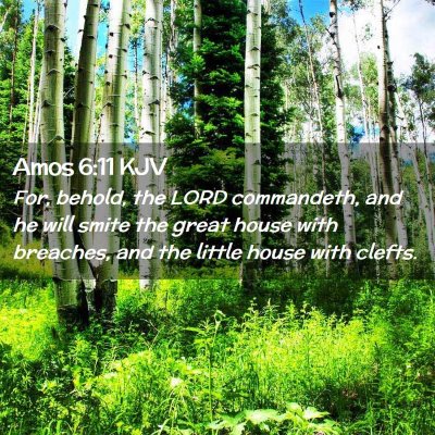 Picture 02 - Amos 6:11 KJV - For, behold, the LORD commandeth, and he will - Bible Verse Picture