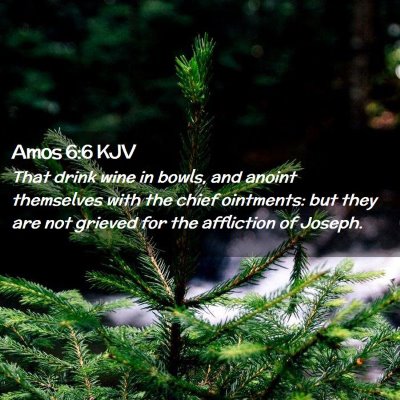 Picture 02 - Amos 6:6 KJV - That drink wine in bowls, and anoint themselves - Bible Verse Picture