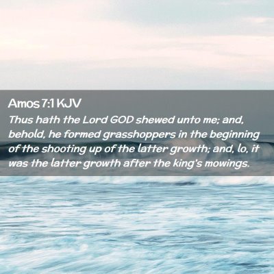 Picture 02 - Amos 7:1 KJV - Thus hath the Lord GOD shewed unto me; and, - Bible Verse Picture