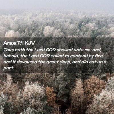 Picture 02 - Amos 7:4 KJV - Thus hath the Lord GOD shewed unto me: and, - Bible Verse Picture