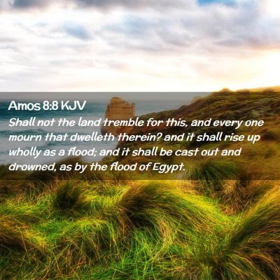 Picture 02 - Amos 8:8 KJV - Shall not the land tremble for this, and every - Bible Verse Picture
