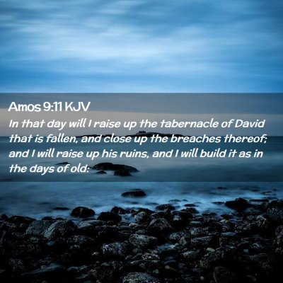 Picture 02 - Amos 9:11 KJV - In that day will I raise up the tabernacle of - Bible Verse Picture