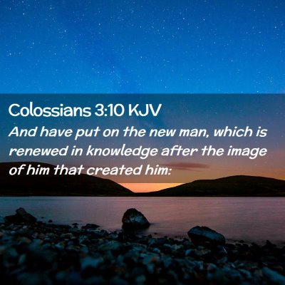 Picture 02 - Colossians 3:10 KJV - And have put on the new man, which is renewed in - Bible Verse Picture