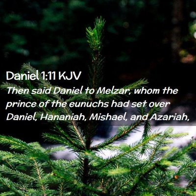 Picture 02 - Daniel 1:11 KJV - Then said Daniel to Melzar, whom the prince of - Bible Verse Picture