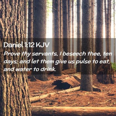 Picture 02 - Daniel 1:12 KJV - Prove thy servants, I beseech thee, ten days; and - Bible Verse Picture