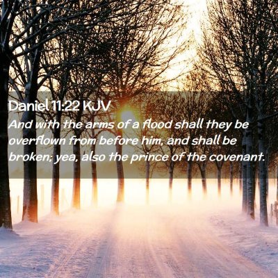 Picture 02 - Daniel 11:22 KJV - And with the arms of a flood shall they be - Bible Verse Picture