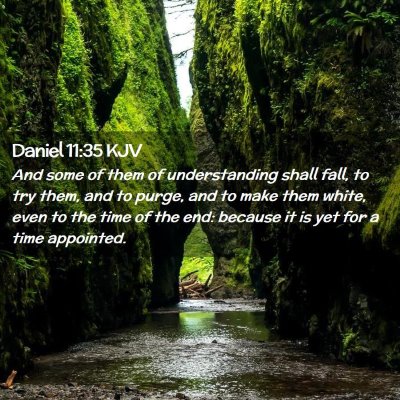 Picture 02 - Daniel 11:35 KJV - And some of them of understanding shall fall, to - Bible Verse Picture