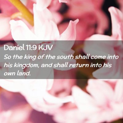 Picture 02 - Daniel 11:9 KJV - So the king of the south shall come into his - Bible Verse Picture