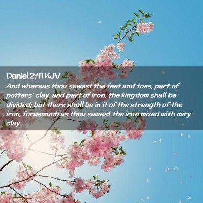 Picture 02 - Daniel 2:41 KJV - And whereas thou sawest the feet and toes, part - Bible Verse Picture