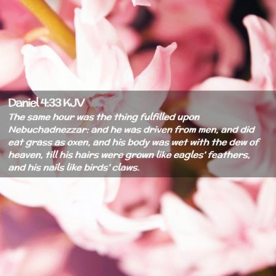 Picture 02 - Daniel 4:33 KJV - The same hour was the thing fulfilled upon - Bible Verse Picture