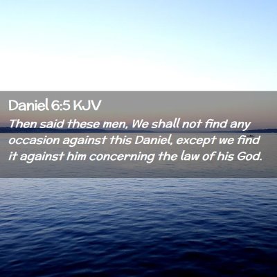 Picture 02 - Daniel 6:5 KJV - Then said these men, We shall not find any - Bible Verse Picture
