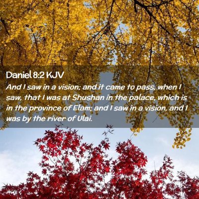 Picture 02 - Daniel 8:2 KJV - And I saw in a vision; and it came to pass, when - Bible Verse Picture