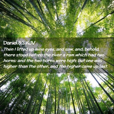 Picture 02 - Daniel 8:3 KJV - Then I lifted up mine eyes, and saw, and, behold, - Bible Verse Picture