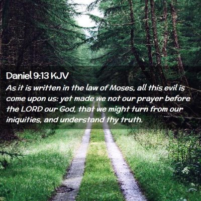 Picture 02 - Daniel 9:13 KJV - As it is written in the law of Moses, all this - Bible Verse Picture