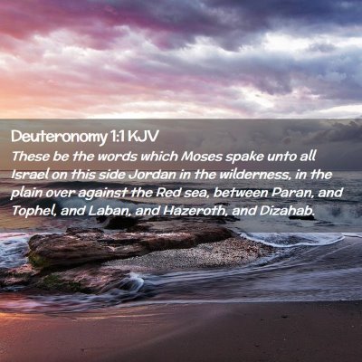 Picture 02 - Deuteronomy 1:1 KJV - These be the words which Moses spake unto all - Bible Verse Picture