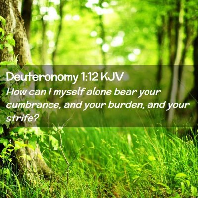 Picture 02 - Deuteronomy 1:12 KJV - How can I myself alone bear your cumbrance, and - Bible Verse Picture