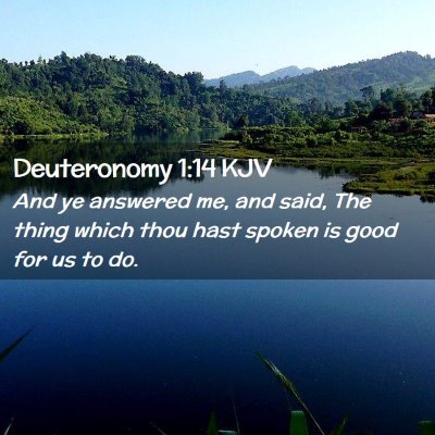 Picture 02 - Deuteronomy 1:14 KJV - And ye answered me, and said, The thing which - Bible Verse Picture