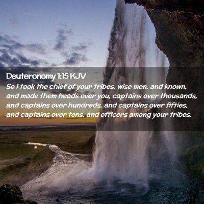 Picture 02 - Deuteronomy 1:15 KJV - So I took the chief of your tribes, wise men, and - Bible Verse Picture
