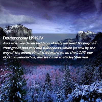 Picture 02 - Deuteronomy 1:19 KJV - And when we departed from Horeb, we went through - Bible Verse Picture
