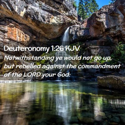 Picture 02 - Deuteronomy 1:26 KJV - Notwithstanding ye would not go up, but rebelled - Bible Verse Picture