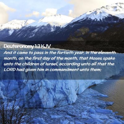 Picture 02 - Deuteronomy 1:3 KJV - And it came to pass in the fortieth year, in the - Bible Verse Picture